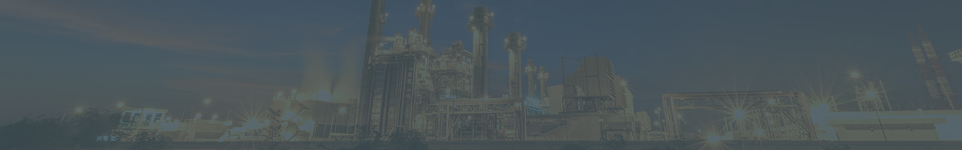 Thermal/Gas-Fired/Combined Heat & Power (CHP)