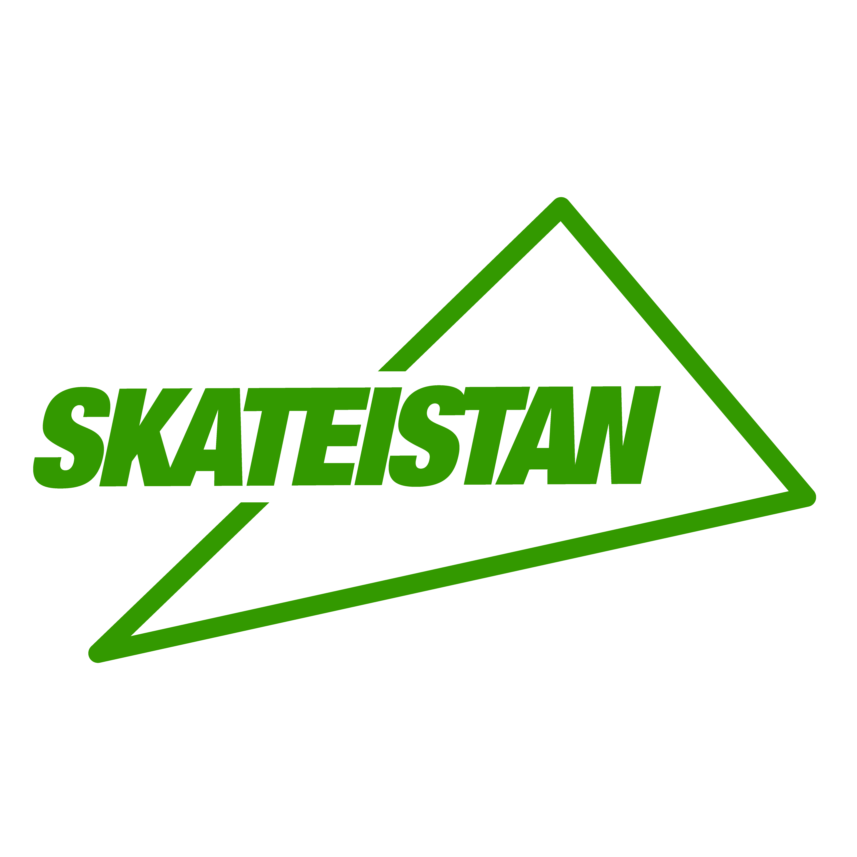 Skateistan logo