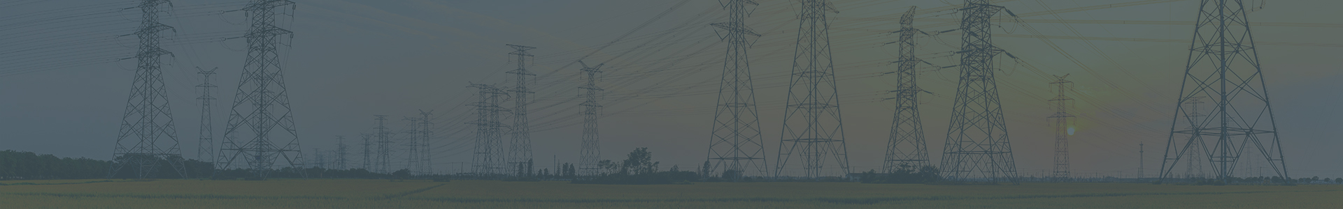 Transmission & Distribution