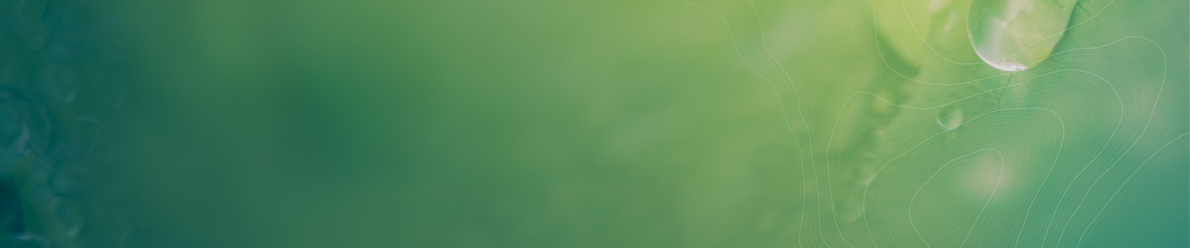 Facteurs environnementaux, sociaux et de gouvernance (ESG)