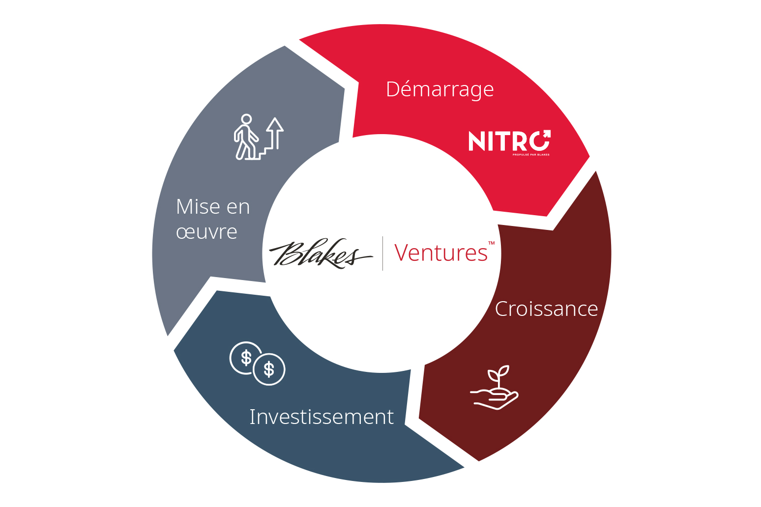 Un diagramme  circulaire qui identifie les quatre étapes des services de Blakes Ventures : Démarrage, croissance, investissement et mise en oeuvre.