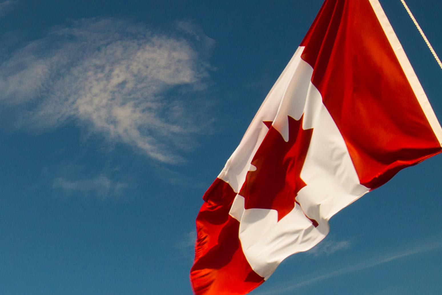 Your Guide to the 2023 Federal Budget Blakes