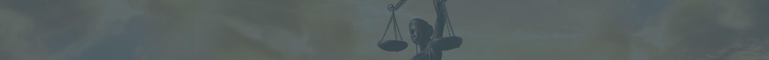 Procurement Litigation